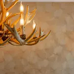 Bergzicht Alpesi faház